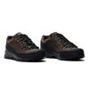 SALOMON Scarpe Unisex da Alpinismo e Trekking X ALP Basse L47822700