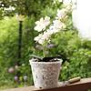 2 Stück transparente Orchideentöpfe, Blumenkübel, Design mit seitlichen Löchern, wiederverwendbar, weit verbreitet, Kunststoff-Orchideentöpfe mit Tabletts