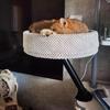 Space Saving Floating Cat Nest Soft&Comfortable Cat Hammock Cat Shelves Cat Climbing Racks  Bedside
