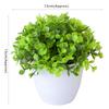Beautiful Fake Plant Energetic No Withering Plastic Artificial Potted Plants Bonsai