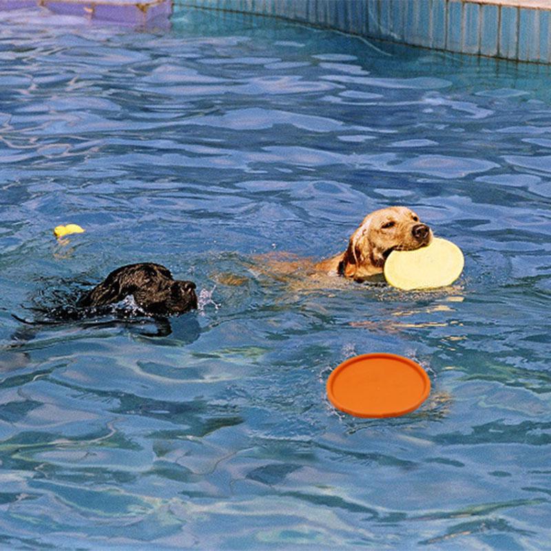 Pet Dog Frisbee Silicone Flying Disc Toy For Large Dog Outdoor Playing Training