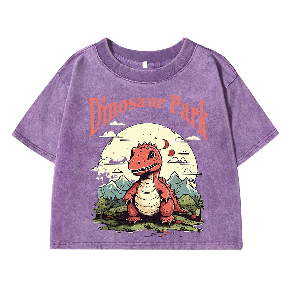 Dinosaur Park Cartoon Print Women Washed Short Tshirts Summer T-Shirt Breathable O-Neck Tee Shirts Soft Oversize Clothes