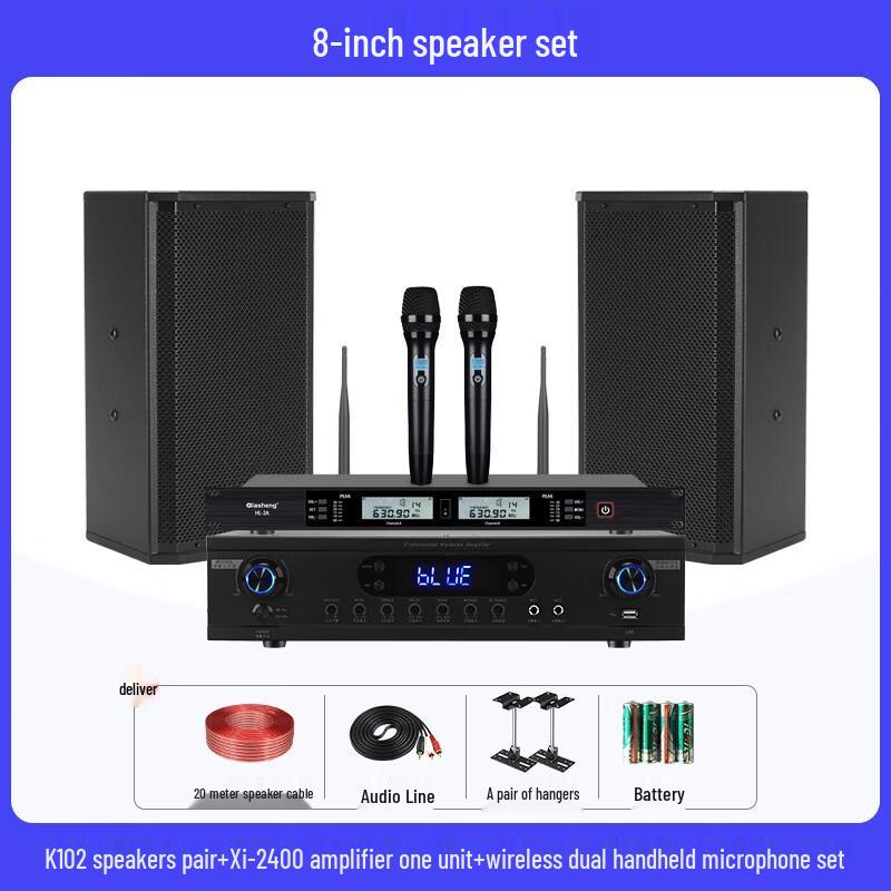 QIASHENG Professional Conference Room & Stage Audio System CN plug (adapter included)