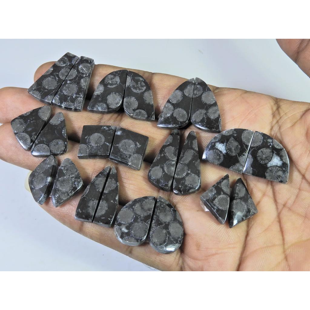 Natural Black Fossil Coral Matched Pair Fancy Cabachon Gemstone 11 Pair Lot C-2681