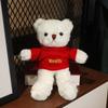Cute Teddy Bear Stuffed Toy - Great Gift for Girls On Valentine's Day or Birthday