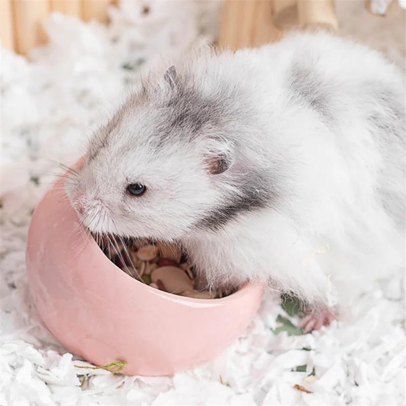Hamster Bowl Food Dish Ceramic Small Animal Bowl Prevent Knocking Over For Food Splashing Gerbil Chinchilla Rat Ferret Hedgehog