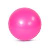 WEZHO 65cm Thickened PVC Yoga Fitness Ball