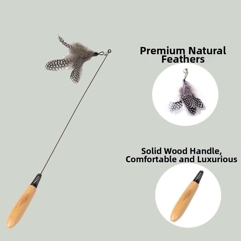 Wooden Handle Spring Teasing Cat Stick Simulation Fishing Rod Interactive Cat Teaser Stick Feather Replaceable Bell Squeaky Cat