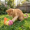 Treat Dispenser Cat Chew Toy Bite-resistant Interactive Cat Toy Leak Food Cat Toy  Dental Health