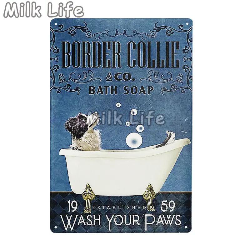 Metal Tin Sign Vintage Funny Border Collie Dog for Coffee Bathroom Toilet Pet Shop Home Sweet Home Sign Bedroom Art Wall Decor