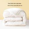 BELLEIS Soybean Antibacterial All-Season Quilt