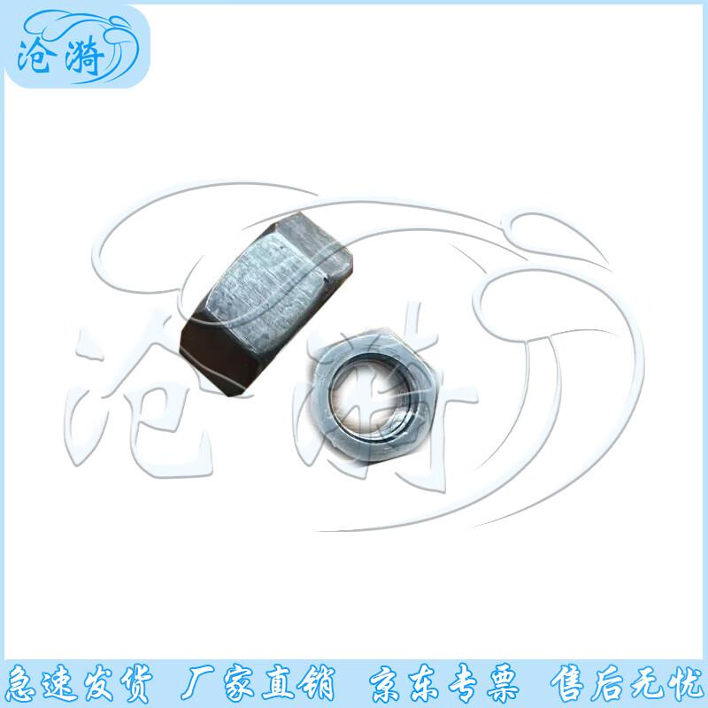 Cang Yi Indoor/Outdoor Infrared Alarm Accessory Nut