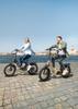ENGWE L20 3.0 Pro – 100Nm Mid-Drive Motor, 48V15Ah Samsung Battery, 160km Range, 20x3.0 Tires, 7 Speed, Hydraulic Brakes