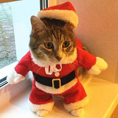 Weihnachts-Katzenkostüme, lustige Weihnachtsmann-Kleidung für kleine Katzen, Hunde, Weihnachten, Neujahr, Haustier-Katzenkleidung, Winter-Kitty-Kätzchen-Outfits