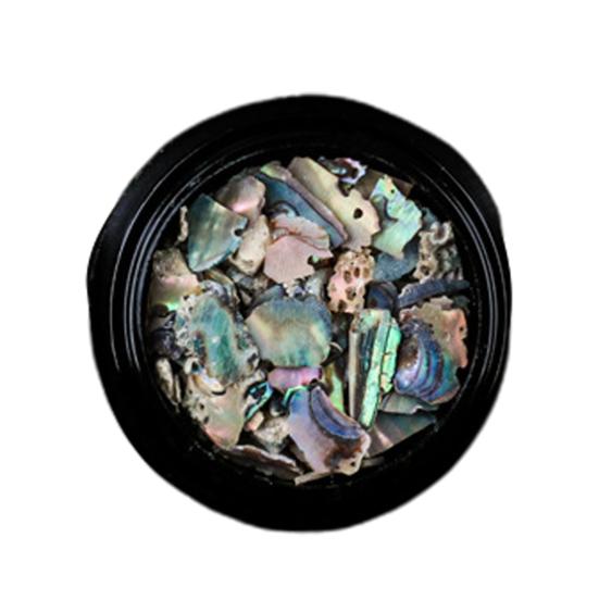 1 Box Nail Art Decoration Paste Easily Irregular Lightweight Natural Shell Slices Nail Decor Nail Accessories