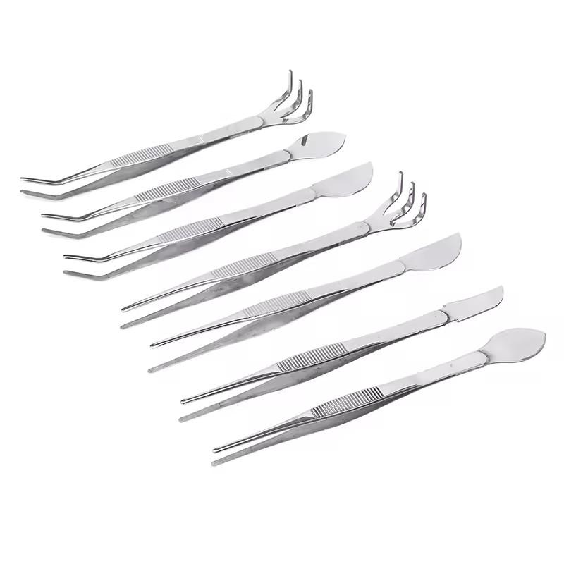 2-in-1  304 Stainless Steel Root Rake with Bonsai Tweezers with Ergonomical Handle Soil Farming Tool for Succulents Crafting