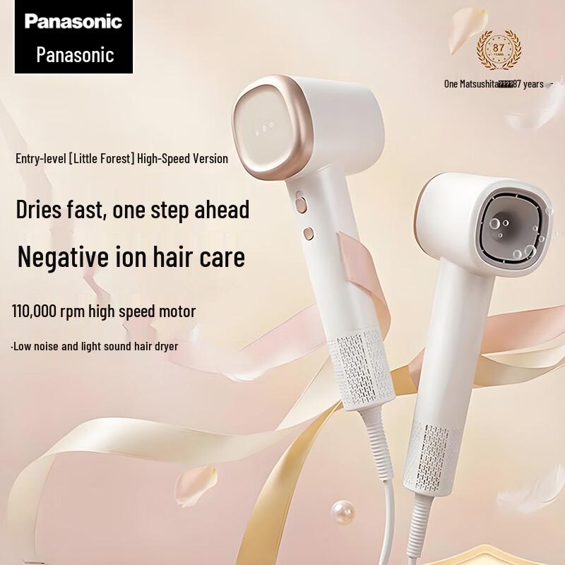 Panasonic EH-NE6L High-Speed Ionic Hair Dryer CN plug (adapter included)