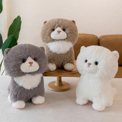 Bebek ve Peluş Oyuncaklar – Doldurulmuş ve Peluş oyuncak hayvanlar