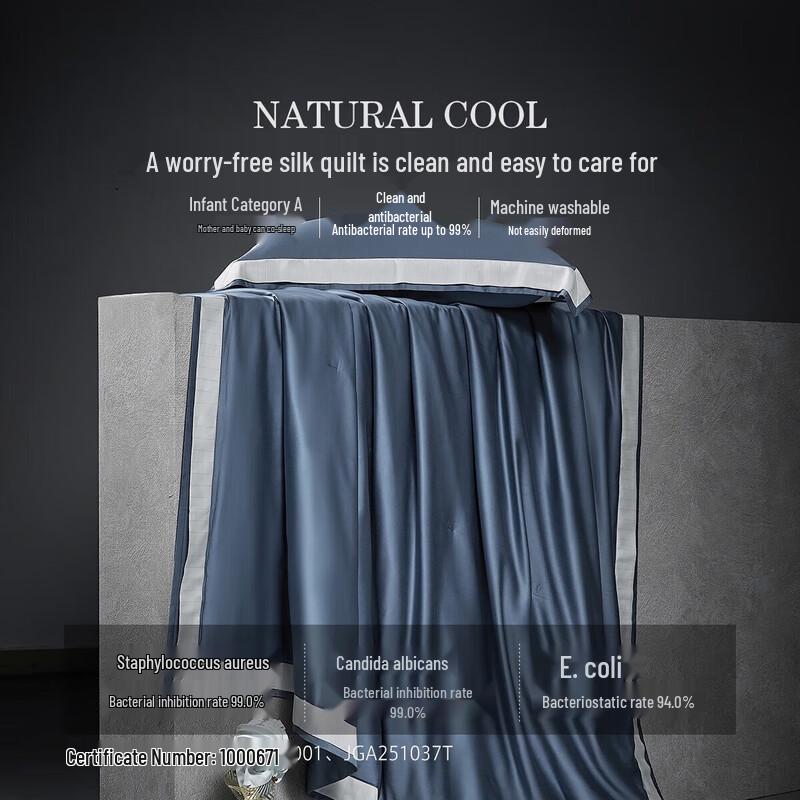 Mercury Home Textiles 100S Tencel Mulberry Silk Summer Quilt