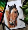 Kalour Lot de 180 crayons de couleur professionnels
