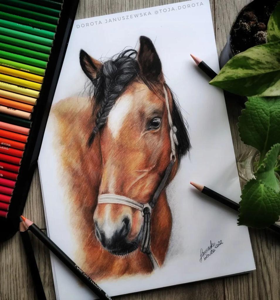 Kalour Lot de 180 crayons de couleur professionnels