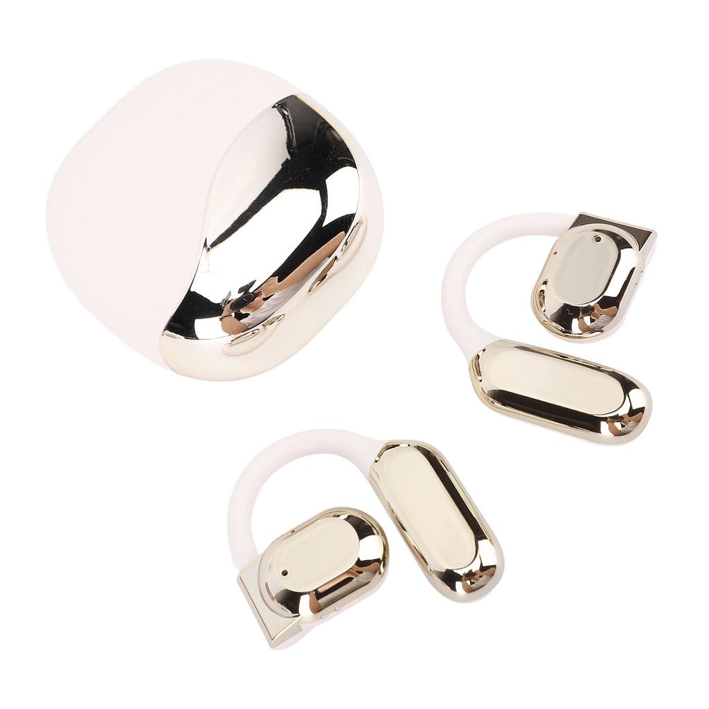 Translation Earbuds Earhook Active Noise Reduction Wireless   AI Language Translator Earbuds