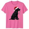 Black Labrador Dog Christmas Holidays Unisexs Unisexs Graphic Tee Santa Hat Lights
