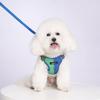 Pet Dog Leash Set Small Medium Dog Vest Breathable Puppy Chest Strap French  Chihuahua Pet