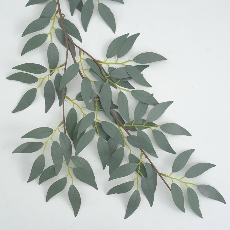Leaf Foliage Eucalyptus For Wedding Backgrounds Outdoor Decoration Photography