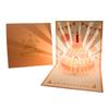 Musical and Light 3D Popup Greeting Card Luxurious Foil Stamping Cards  Birthday Party Supplies