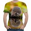 Funny Hedgehog Animal 3D Print T-Shirts Men Women Fashion Streetwear Oversized Short Sleeve T Shirt Male Tees Tops Man Clothing