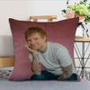 Pop Singer EEd SSheeran Play Cushion Cover Pillow Case Square Cushion Room Bedroom Headboard Sofa Living Backrest Nap Time