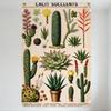 Vintage CACIT Succulents Metal Tin Sign Botanical Cactus Illustration Wall Decor for Home Garden Bar Cafe Art Decoration