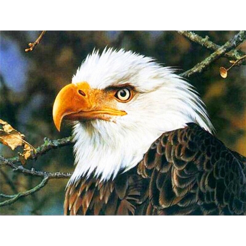 New 5D DIY Diamond Painting Eagle Head Diamond Embroidery Animal Cross Stitch Full Round Drill Home Decor Manual Art Gift