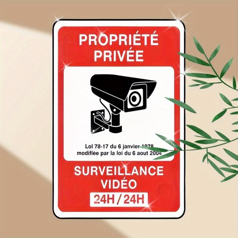 

Vintage French Proprit Prive HH Video Surveillance Retro Metal Tin Sign Rustic CCTV Security Warning Wall Art Decor Ru 20x30cm（7.8x11.8inch）