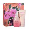 Jurlique Essence Floral Water & Hand Cream 2024 Limited Edition Gift Set