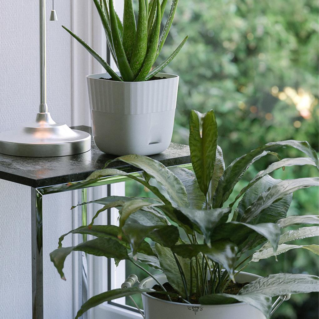 Flower Pot Multiple Holes Trays Succulent Planter Indoor Plants Pots Drain Breathable Case Home Bonsai Decoration