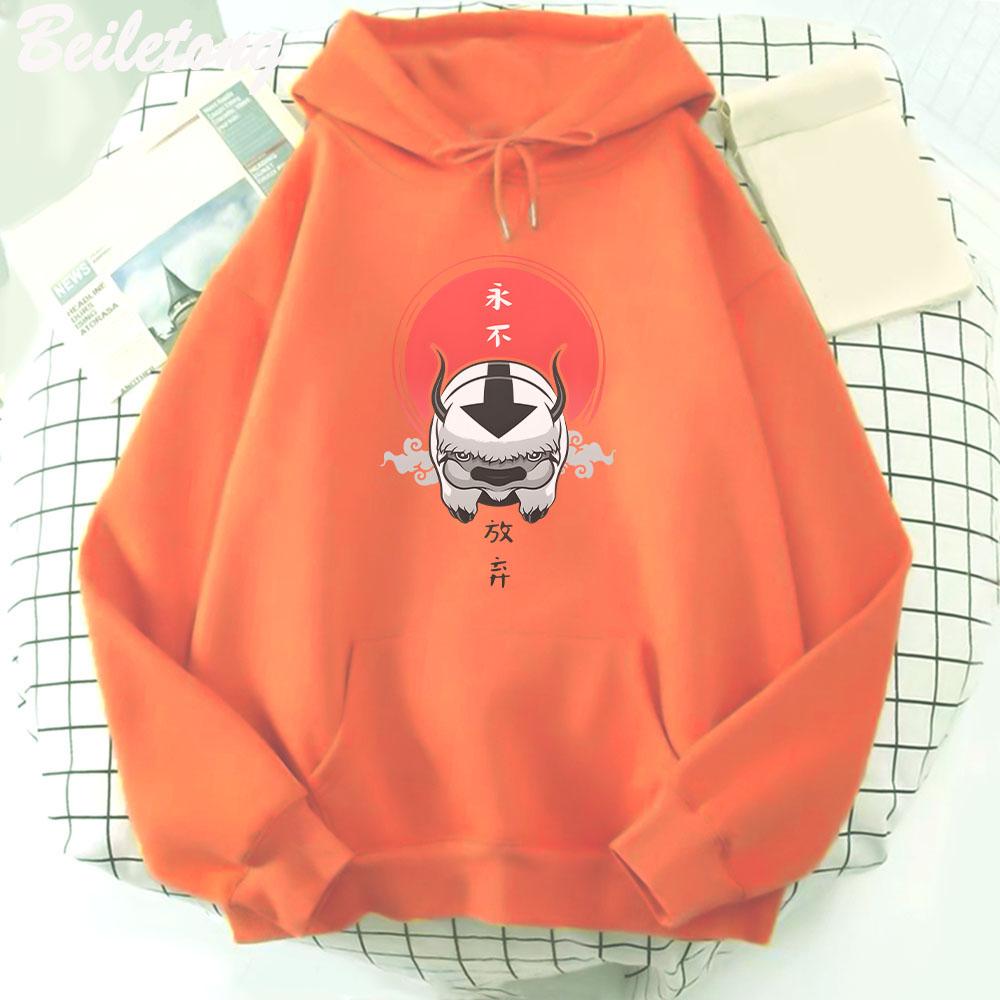 Avatar The Last Airbender Hoodie Cute Print Kawaii Clothes for Girl Pullover Cartoon Funny Sweatshirt Women Harajuku Wram
