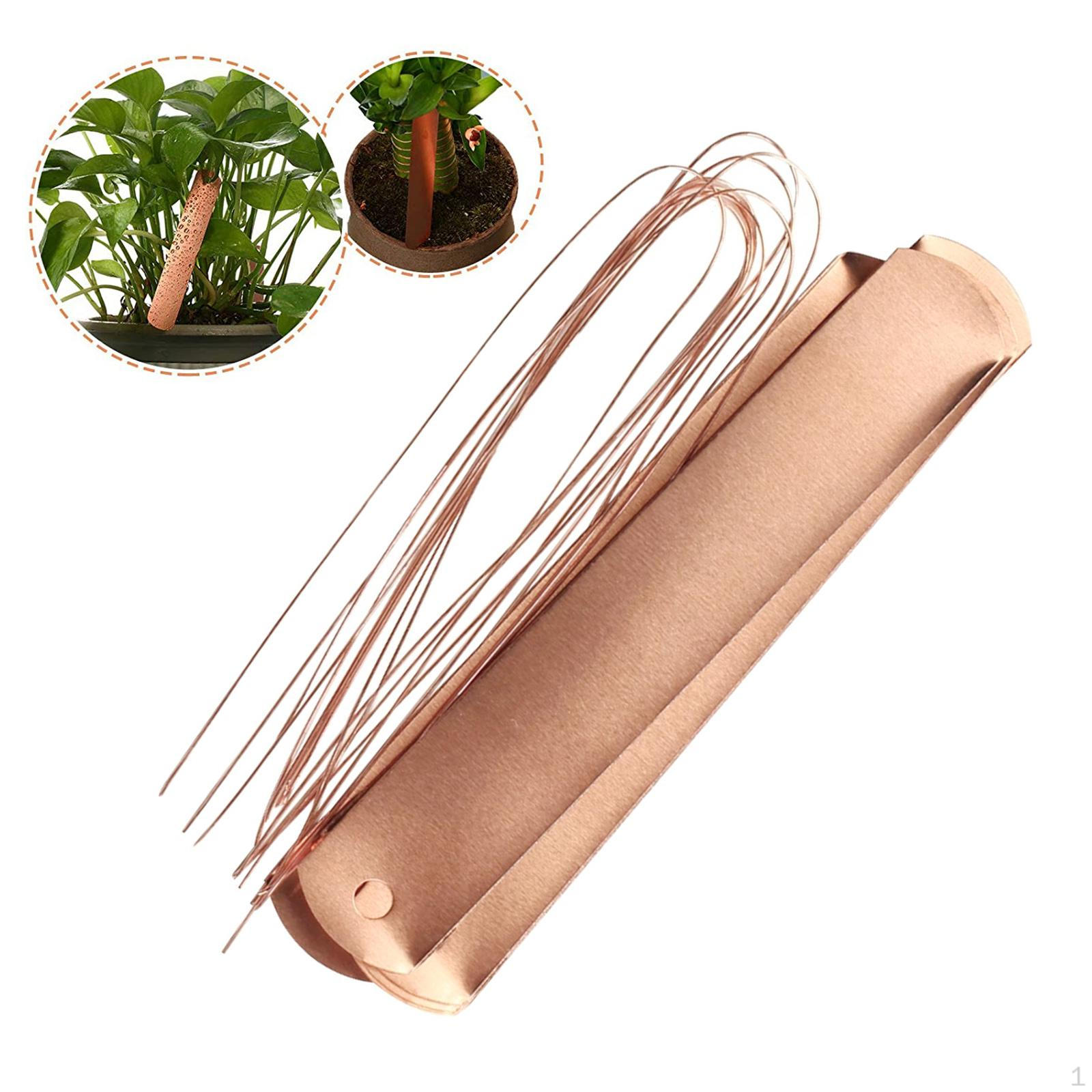 

20pcs Copper Plant Tags Garden Labels Reusable Tree pcs Tie for Balcony Gardening