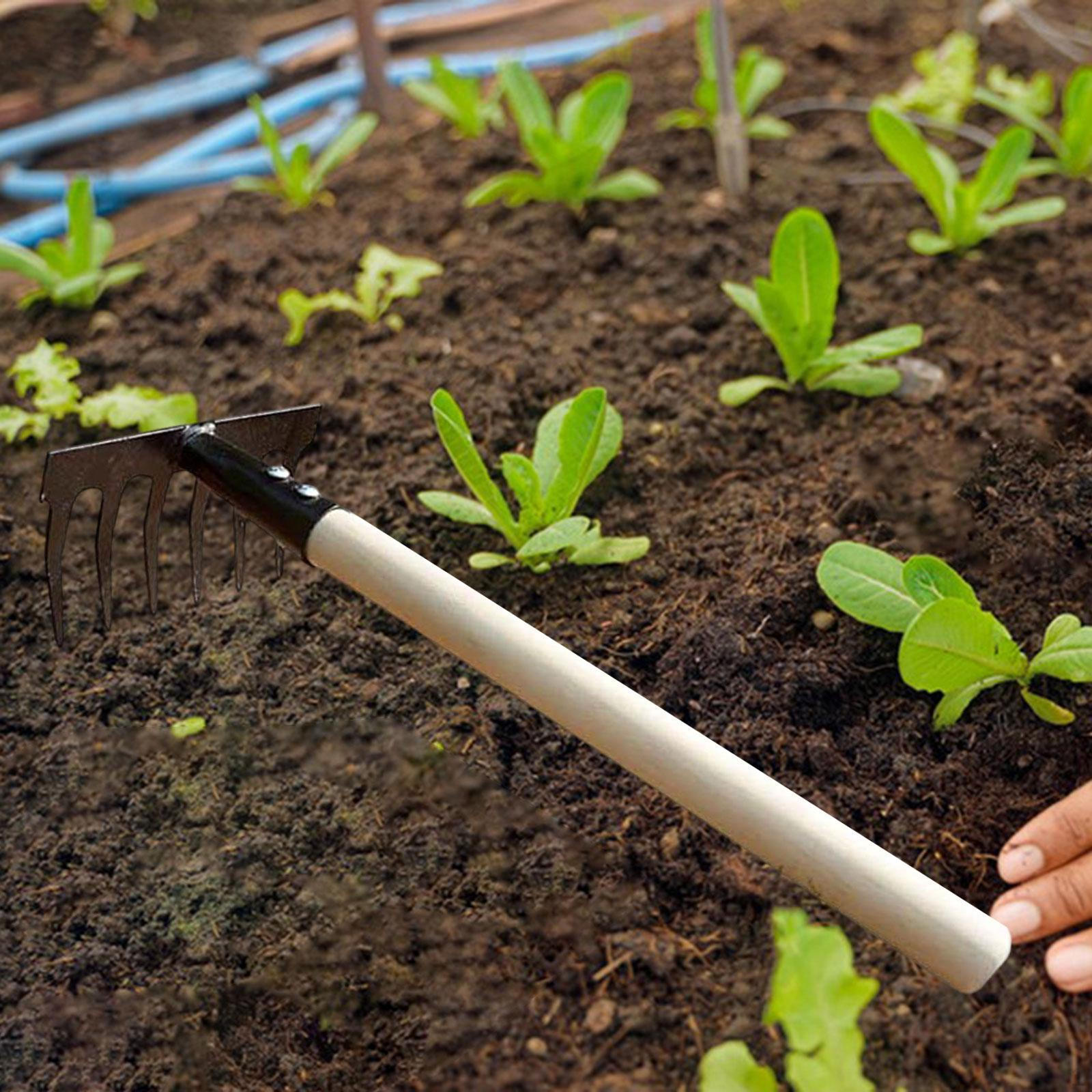 

Садовые грабли Инструмент Прополка Тяжелый для газона Домовладельцев Семейного Домашнего Двора 6 Tines