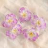 10/20Pieces 6.5CM Cheap Artificial Flowers for Home Wedding Room Decor Accessories Scrapbooking Flowers Wall Diy Rose Heads