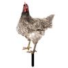 Ornamental Eco-friendly Rooster Decor Garden Statue Chicken for Garden