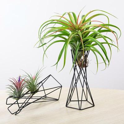 Severský styl, držák na květináče, kovový stojan na květináče, geometrický železný držák na tillandsie, stolní dekorace pro domácí zahradu