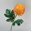 Silk Cloth Simulation Chrysanthemum Green Flower Onion Ball Branch Fake Flower Ball Soft Realistic Hydrangea Photography Props