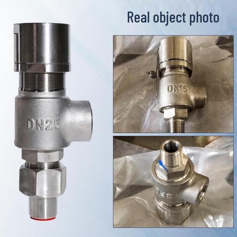 Nanyi Carbon Steel Safety Valve A21H-16C DN20
