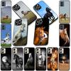Running Wild And Free Horse Phone Cover for Motorola Moto G86 G14 G35 G34 G45 G55 G64 G75 G85 G24 G15 G54 G57 Power Soft Case