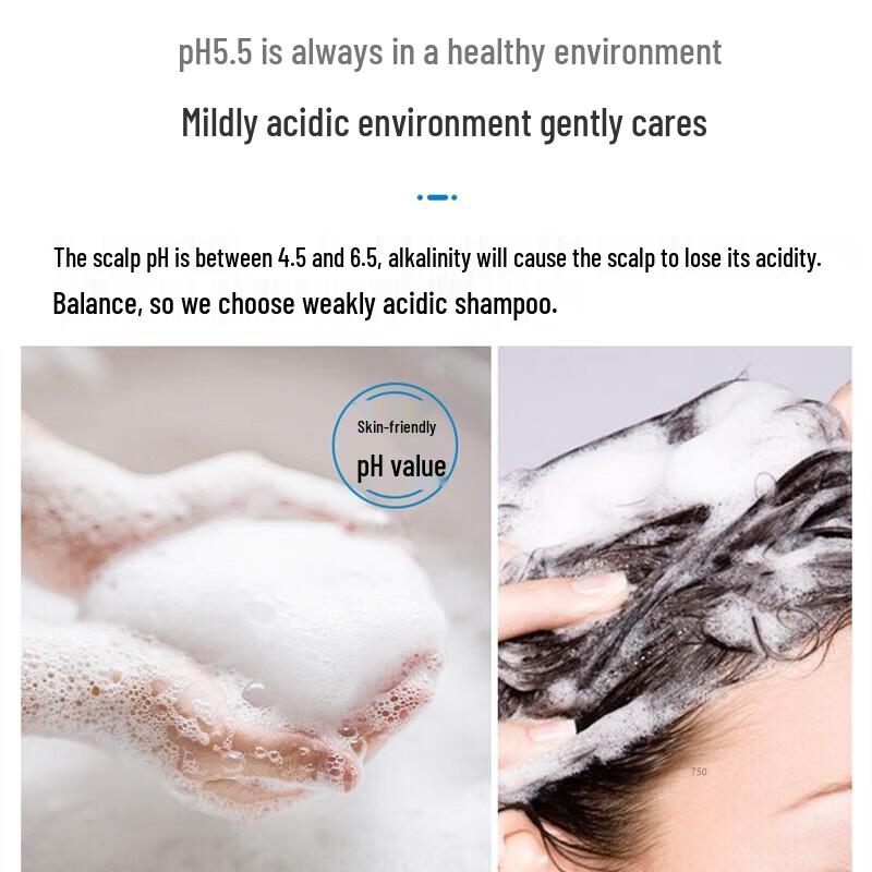 B2V Ink Algae Frizz Repair Shampoo