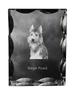 Picardy Sheepdog, Berger Picard – Crystal with a Picture of a Dog, Glass Statuette with a Picture |