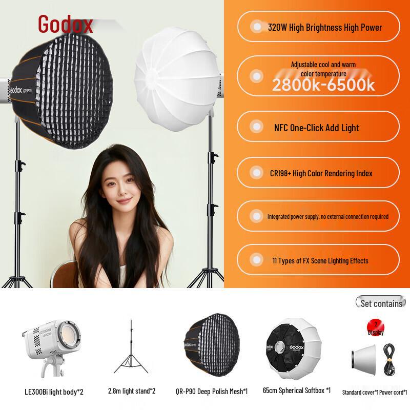Godox LE300Bi Bi-Color LED Video Light