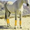 4pcs Horse   Leg Wraps Comfortable Soft Fce Wraps Equestrian Leg Bandages Stable Supplies